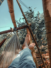 Low section of man relaxing on hammock in forest