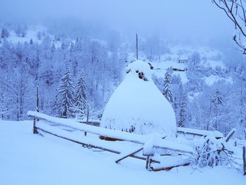 Aerial view of snow covered land and trees against sky