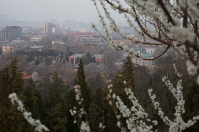 View of buildings in city