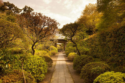 Garden at kenchoji temple, kamakura, kanagawa prefecture, greater tokyo area, japan