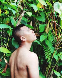 Shirtless man looking up while standing by plants