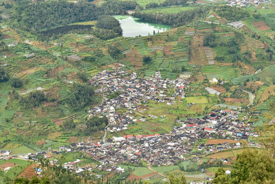 High angle view of trees and buildings