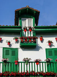 Low angle view of potted plants by building against sky