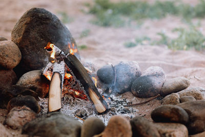 Hiking and outdoor activities. a campfire with burning wood in nature