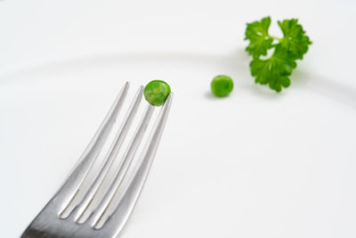 Close-up of fork in plate on table against white background