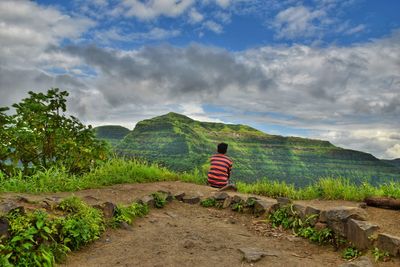 Rear view of person on road amidst plants against sky