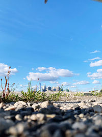 Surface level of land against blue sky