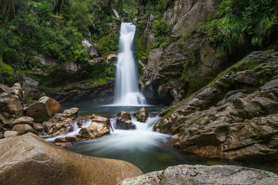 Scenic view of waterfall in forest