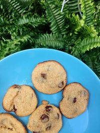 Directly above shot of cookies in plate on table