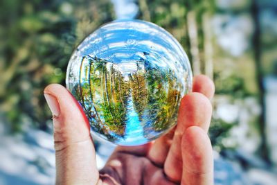 Close-up of man holding glass sphere against trees