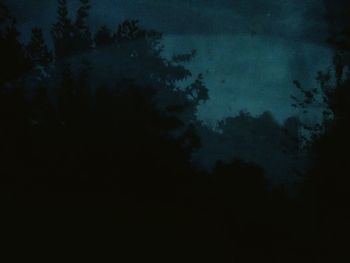 Low angle view of trees against sky at night