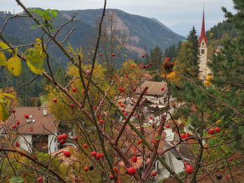Scenic view of trees and mountains against sky