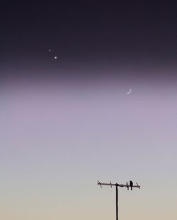 Low angle view of weather vane against clear sky