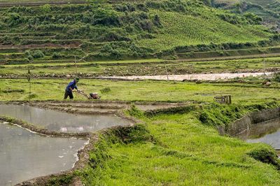 Scenic view of agricultural field