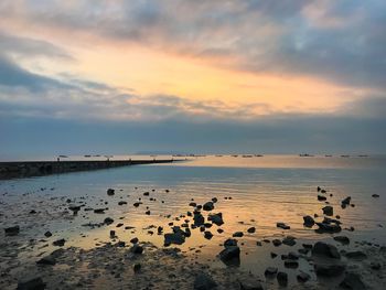 Birds on beach against sky during sunset