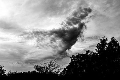 Low angle view of silhouette trees against sky