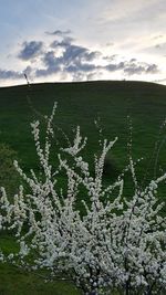 Scenic view of sky