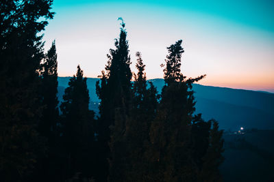 Panoramic view of trees on mountain against sky