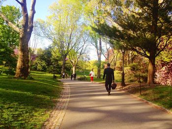Rear view of people walking on road