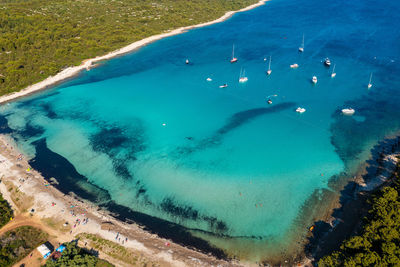 Aerial view of the sakarun beach on dugi otok, croatia