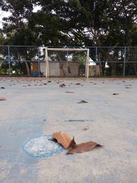 Dry leaves on empty park