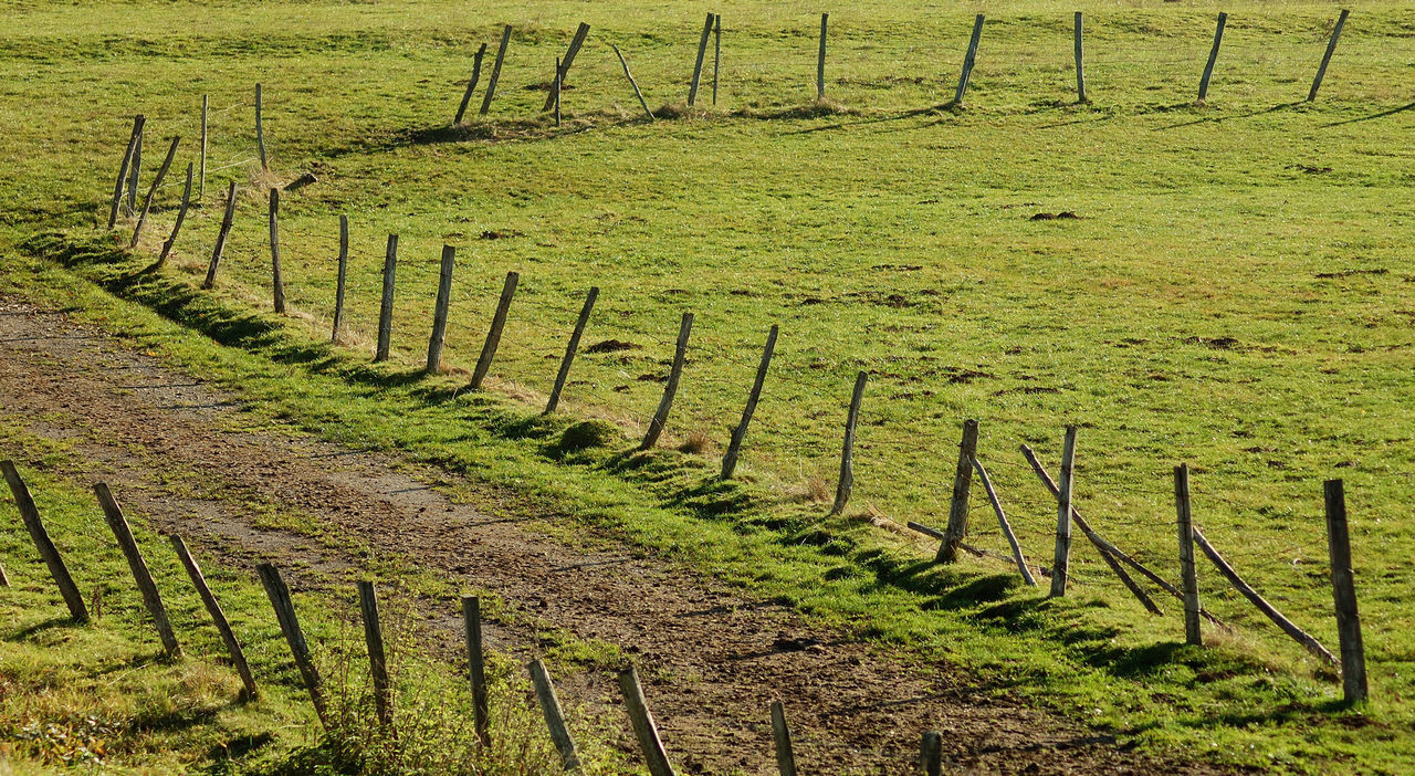 VIEW OF AGRICULTURAL FIELD