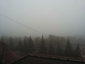 Scenic view of trees against sky