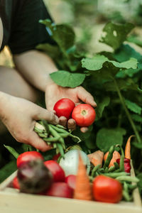 Cropped hand of woman holding fruit