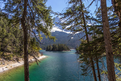 Scenic view of lake in forest against sky