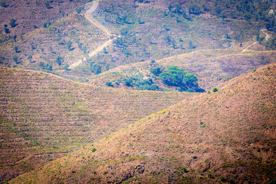 High angle view of trees on landscape during autumn