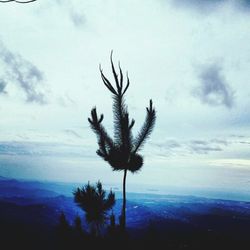 Scenic view of landscape against cloudy sky