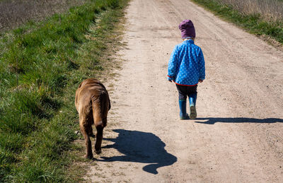 Full length rear view of a horse on dirt road