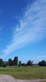 Trees on field against blue sky