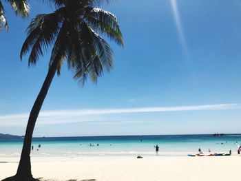 Palm trees on beach against blue sky