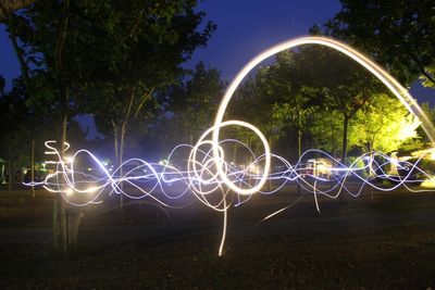 View of illuminated trees at night