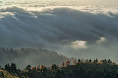 Panoramic view of trees and mountains against sky