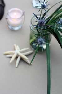 Close-up of flowers