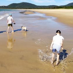 Rear view of boys and dog at beach