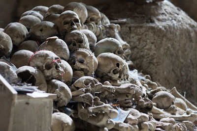 Old human skulls in cemetery