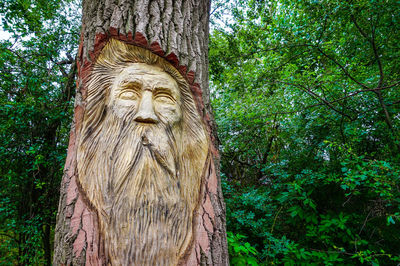 Statue of tree trunk in forest