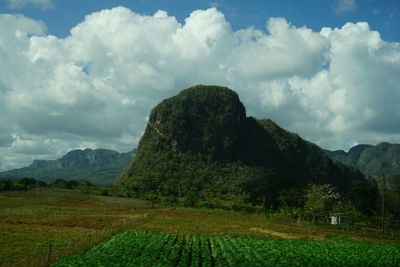 Scenic view of field against sky