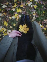 Low section of young woman holding maple leaf at park during autumn