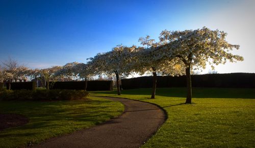 Empty road on grassy field against cloudy sky