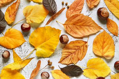 High angle view of autumn leaves on table