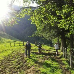 People walking on grassy field