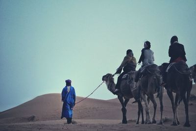People riding on camel at sahara desert against clear blue sky