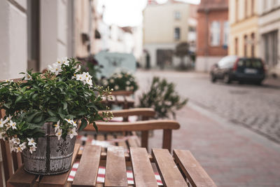 Potted plants on footpath by building in city