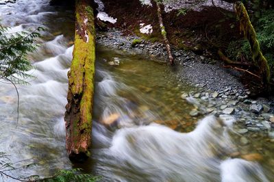 River flowing through rocks in forest