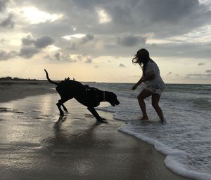 People with dog on beach