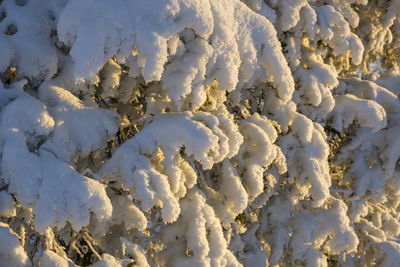 Full frame shot of frozen ice